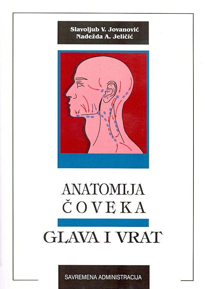Anatomija coveka - glava i vrat
